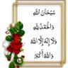 Shahid Arab 的头像