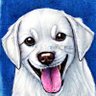 bornjre's profile picture