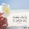 Фото профиля 𝔥𝔞𝔫𝔶 𝔷𝔬𝔥𝔦𝔯 🇪🇬
