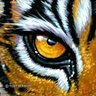 Profilbild von Deana Elkins