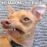 Roberto Adalto profil fotoğrafı