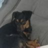 Profilbild von lucas