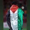 محمد سيد فضل 的头像