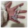 螺蛳粉's profile picture