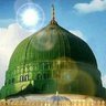 معلم muealim's profile picture
