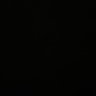 Lotus's profile picture