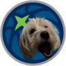 Muppet the Dog's profile picture