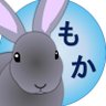 もか🐰 的头像