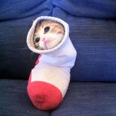 YummyBiqi's profile picture