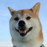 Profilbild von えびぼー