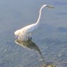 debd profil fotoğrafı