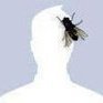 Profilbild von Turgut