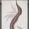 Фото профиля 触手