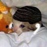 Tetsmega's profile picture