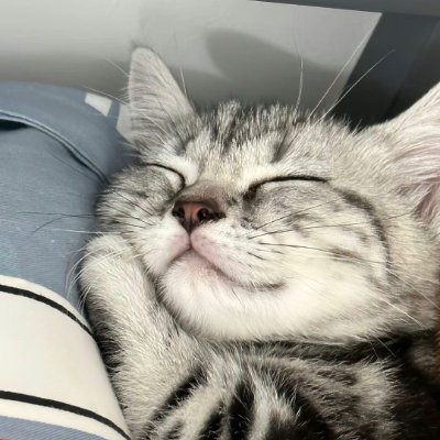 cyhy's profile picture