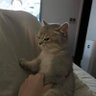 书不遮 的头像