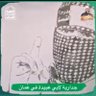 ابو عاصم 的头像
