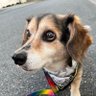 Фото профиля 🐾エルフ🌈まま🐾