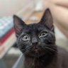 Iain D profil fotoğrafı