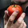 Фото профиля Impressive Tomato
