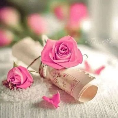 MhmdYhyy59175's profile picture