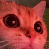 Profilbild von Rainbow2dcore
