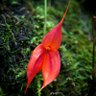 Фото профиля Peruana libre