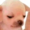Observations's profile picture