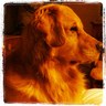 Profilbild von Jeff