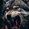 jorgee's profile picture