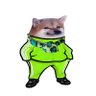 M Mouse's profile picture