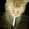 Doru's profile picture
