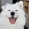 Profilbild von valerot