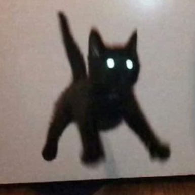dipperthebig's profile picture