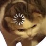 palmer629's profile picture