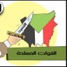 Alamin Elsudani 💔's profile picture