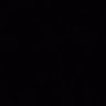 Bruno Rodrigues's profile picture