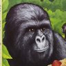 BiggorillaCS profil fotoğrafı