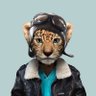 Profilbild von Naytix