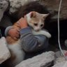 🔻✌️🇵🇸 profil fotoğrafı