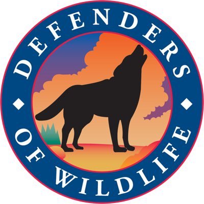 Defenders of Wildlife's profile picture