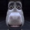 mario's profile picture