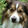 JetProof's profile picture