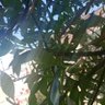 Фото профиля Pata Carola