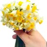 riad.dabbas62@gmail.com's profile picture