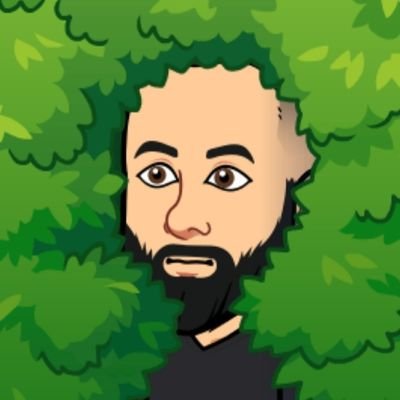 bernatripolles's profile picture