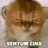 indomie's profile picture