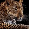 J.MNZ profil fotoğrafı