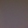 D555's profile picture