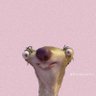 Profilbild von BIBI